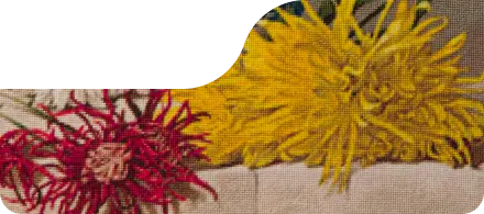 Embroidered chrysanthemums in white, yellow and red